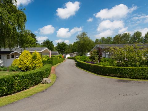 EuroParcs Molengroet - Camping Langedijk - Image N°24