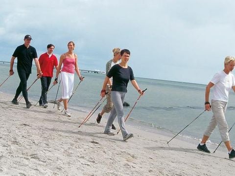 DanCenter Ostsee Strandpark Grömitz - Camping Schleswig-Holstein - Image N°4