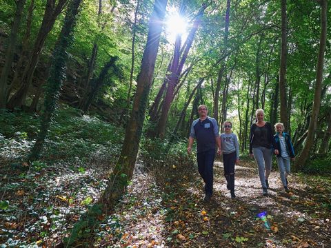 Vallée Les Etoiles - Camping Namur - Image N°24