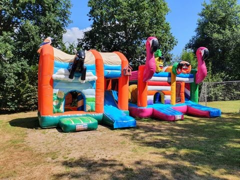 Camping de Vinkenkamp - Camping Apeldoorn - Image N°9