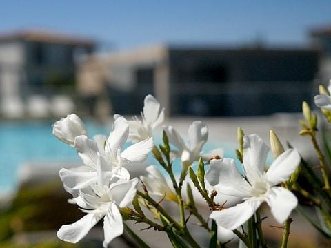 Pierre & Vacances Premium Residence Les Villas de Porto-Vecchio - Camping Corse du Sud - Image N°13