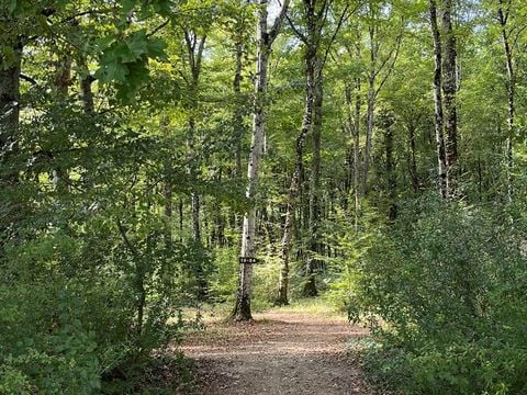 La Buissonnière Lodges - Camping Indre-et-Loire - Image N°10