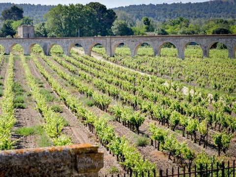 La Résidence du Château de Jouarres - Camping Aude - Image N°6