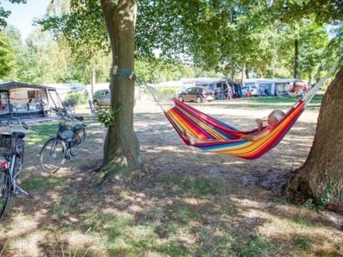 Recreatiepark Den Blanken - Camping Berkelland - Image N°42