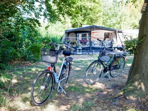 Recreatiepark Den Blanken - Camping Berkelland - Image N°41