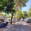 Camping Baia del Sole